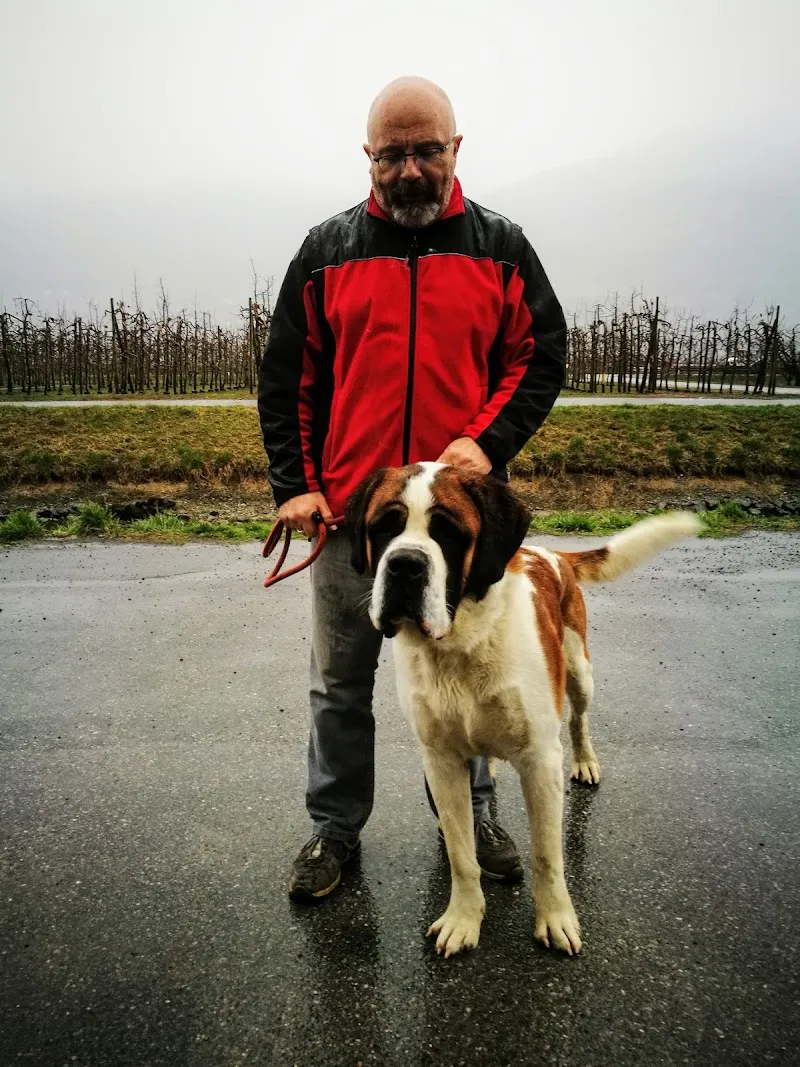 Pension-élevage du Grand Blettay — Katzenpension, Fully, Wallis. Foto 2