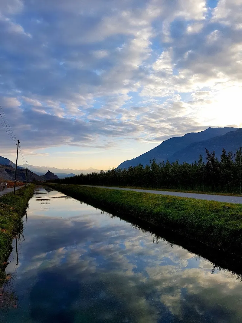 Pension-élevage du Grand Blettay — Katzenpension, Fully, Wallis. Foto 3