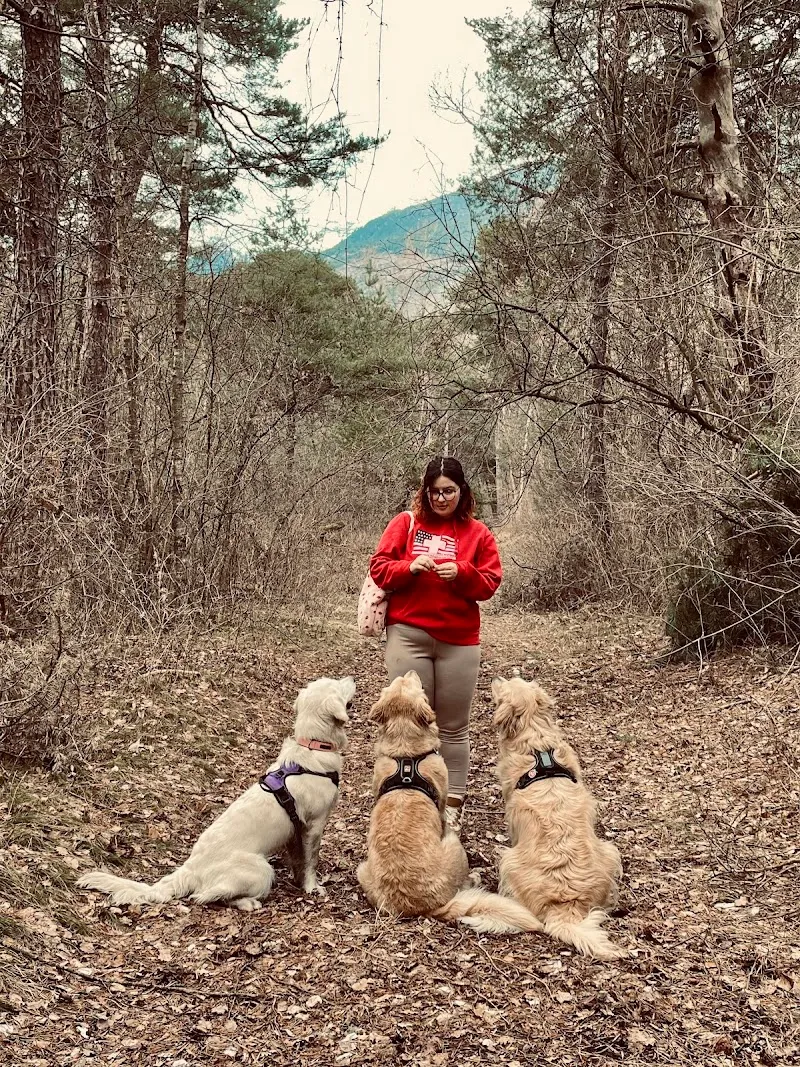 The Golden Adventure — Katzenpension, Sierre, Wallis. Foto 3