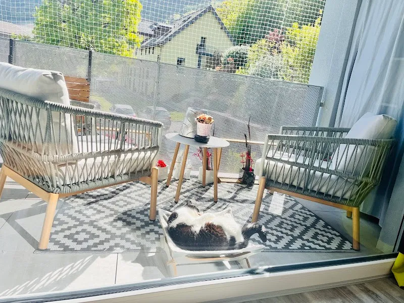 chats du robinson — Katzenpension in Sion, Wallis. Bewertung 4.5/5.