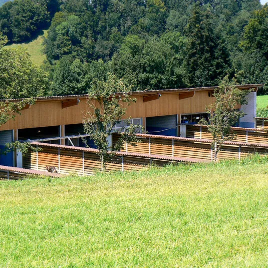 Hundestation Neuheim — Katzenpension in Neuheim, Zug. Bewertung 4.5/5.