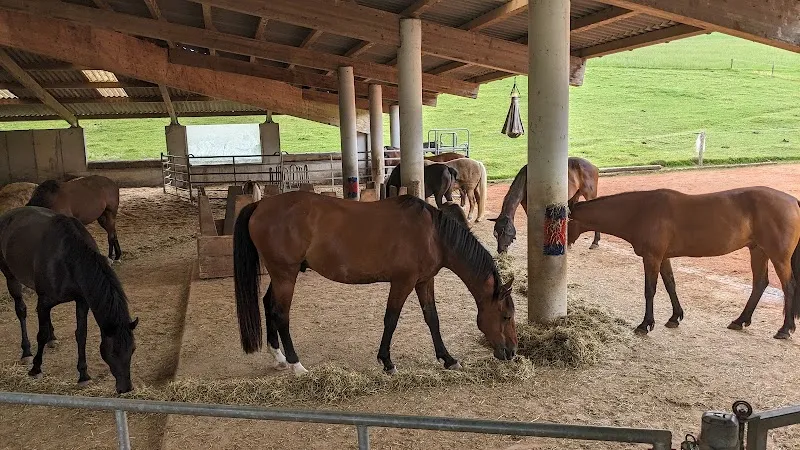 Hundestation Neuheim — Pet Service, Neuheim, Zug. Foto 2