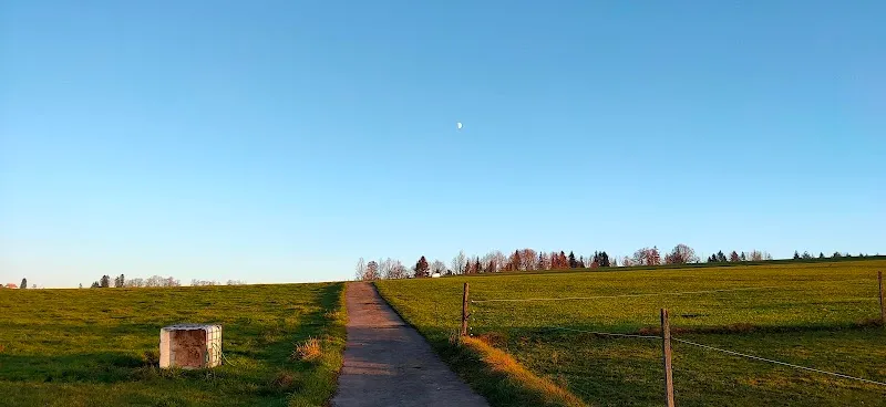 Hundestation Neuheim — Pet Service, Neuheim, Zug. Foto 3