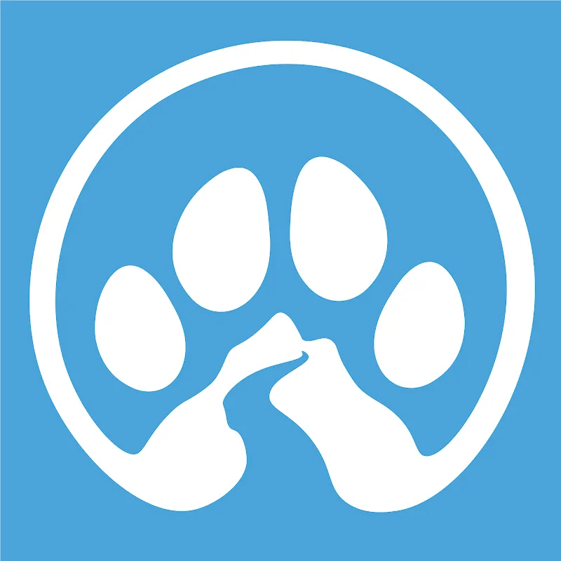 Tails on Trails Hundespazierdienst — Pension pour chats, Risch-Rotkreuz, Zoug. Foto 2