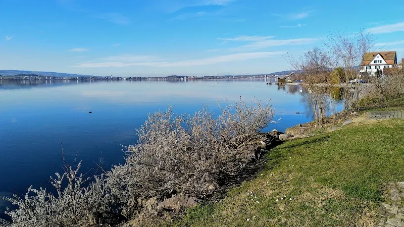 Tierbetreuungscenter Oberwil — Katzenpension in Oberwil bei Zug, Zug. Bewertung 3.0/5.