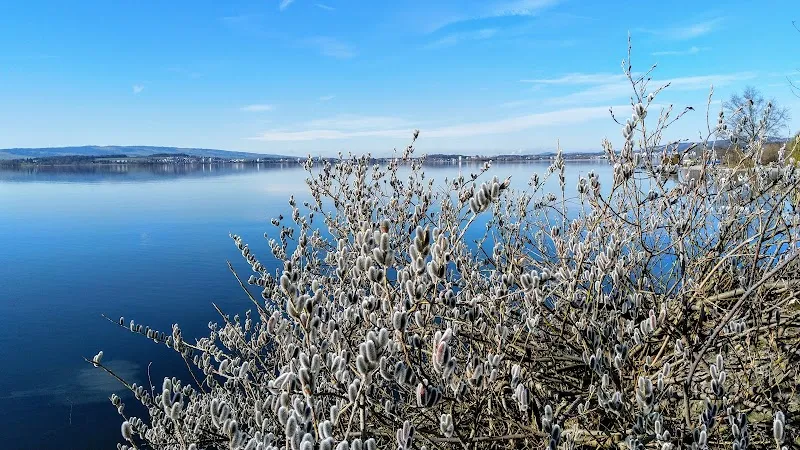 Tierbetreuungscenter Oberwil — Katzenpension, Oberwil bei Zug, Zug. Foto 3
