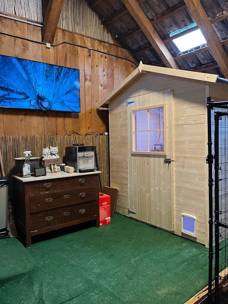 Aargauer Katzenferien — Katzenpension, Erlinsbach, Aargau. Foto 2