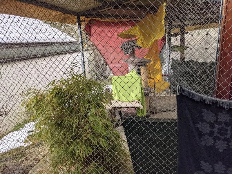 Cat Garden — Katzenpension in Bassersdorf, Zürich. Bewertung 5.0/5.