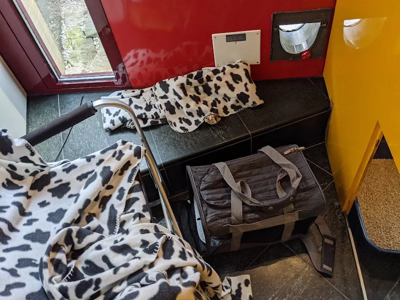 Cat Garden — Katzenpension, Bassersdorf, Zürich. Foto 2