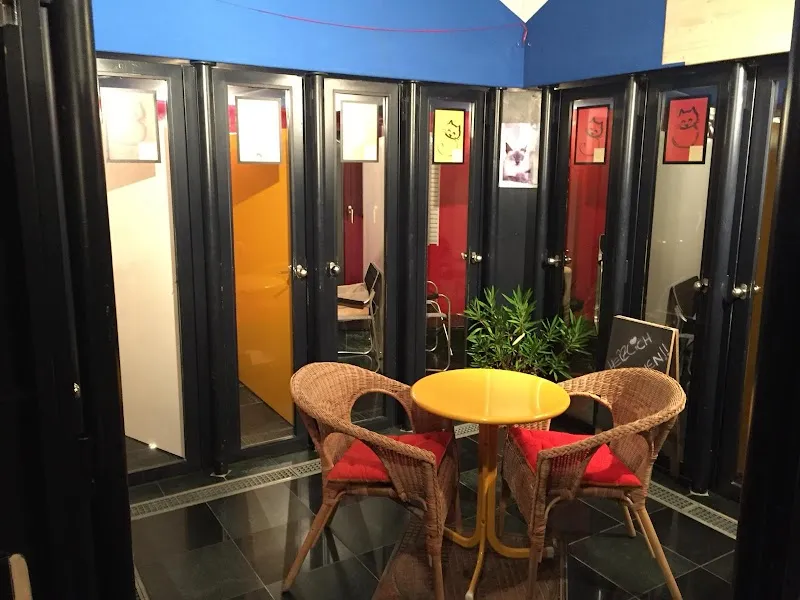 Cat Garden — Katzenpension, Bassersdorf, Zürich. Foto 3