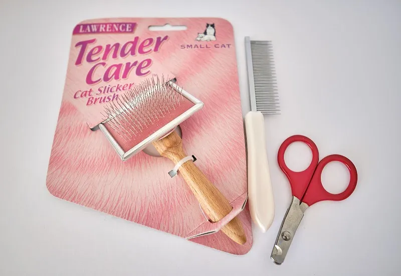 Cat InStyle — Katzenpension in Wallisellen, Zürich. Bewertung 4.8/5.