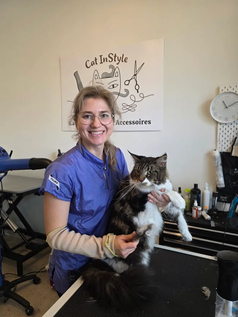 Cat InStyle — Pension pour chats, Wallisellen, Zurich. Foto 2