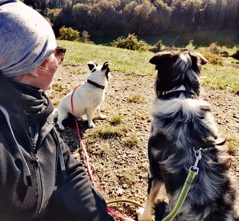 Tierbetreuung oberes Fricktal — Katzenpension in Hornussen, Aargau. Bewertung 5.0/5.