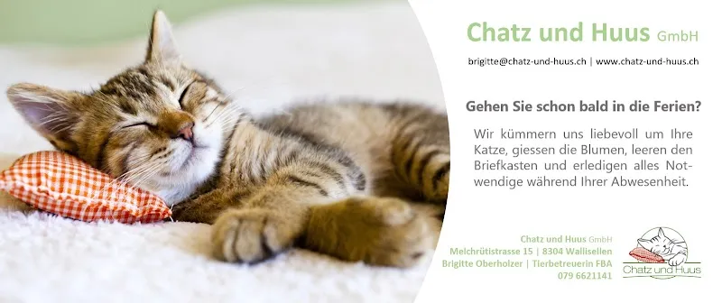 Chatz und Huus — Pension pour chats, Wallisellen, Zurich. Foto 2