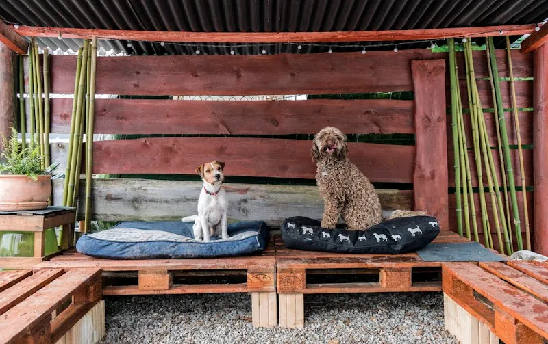 Dog-Home — Katzenpension, Horgen, Zürich. Foto 2