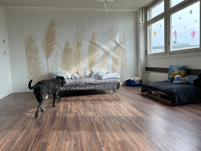 Dogparkcare — Katzenpension in Regensdorf, Zürich. Bewertung 4.9/5.