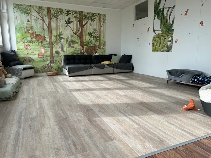 Dogparkcare — Pension pour chats, Regensdorf, Zurich. Foto 3