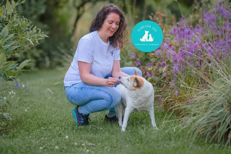 FUREVER JOY Petcare & Therapy — Katzenpension in Wädenswil, Zürich. Bewertung 5.0/5.