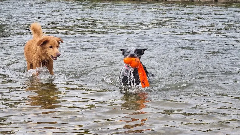 Happy Place Hundesitting — Service animalier, Schwerzenbach, Zurich. Foto 2