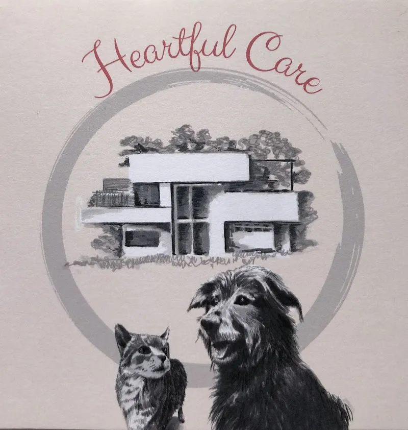 Heartful Care — Katzenpension in Zürich, Zürich. Bewertung 4.3/5.