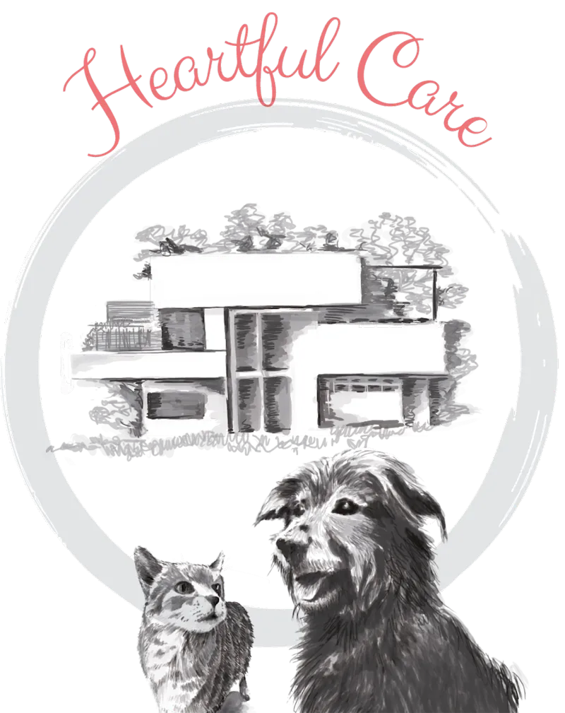 Heartful Care — Pension pour chats, Zürich, Zurich. Foto 2