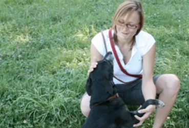 HelloBello — Katzenpension, Meilen, Zürich. Foto 2