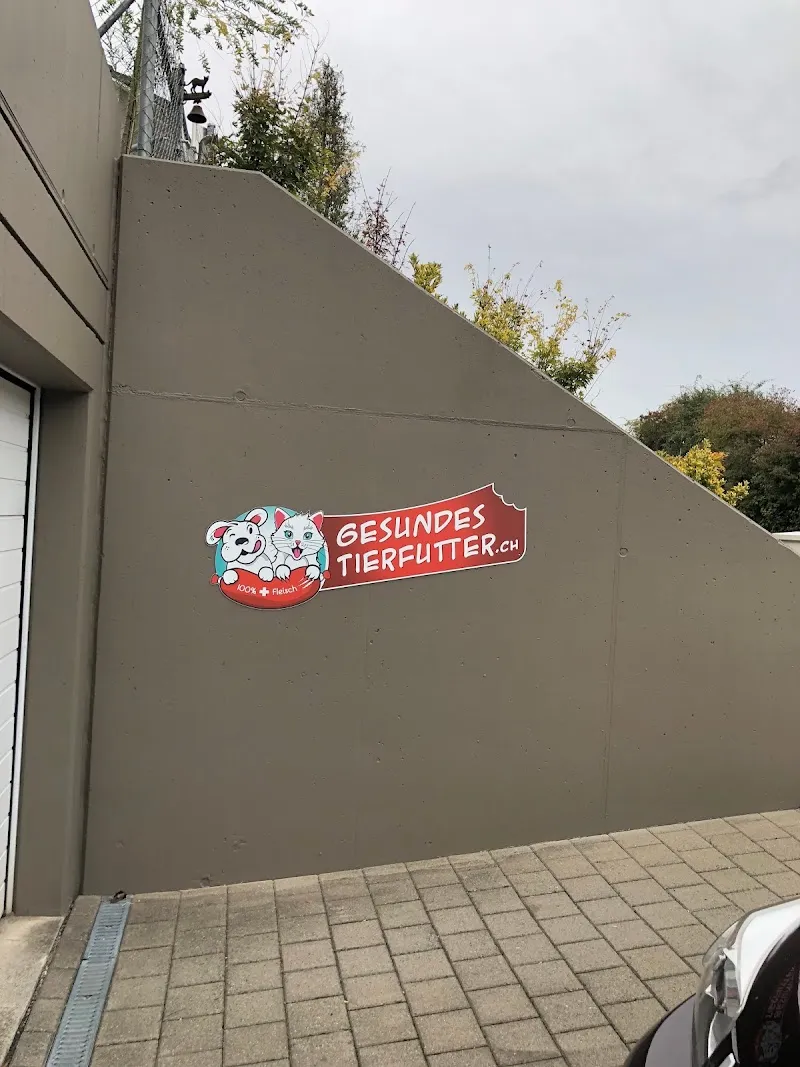 Home-Alone.ch, Haustierbetreuung GmbH — Katzenpension, Pfungen, Zürich. Foto 3