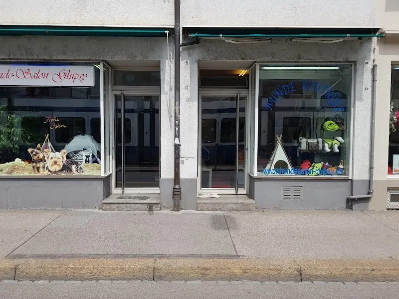 Hunde & Katzen Salon Chipsy J. Pistyur — Katzenpension in Zürich, Zürich. Bewertung 4.3/5.