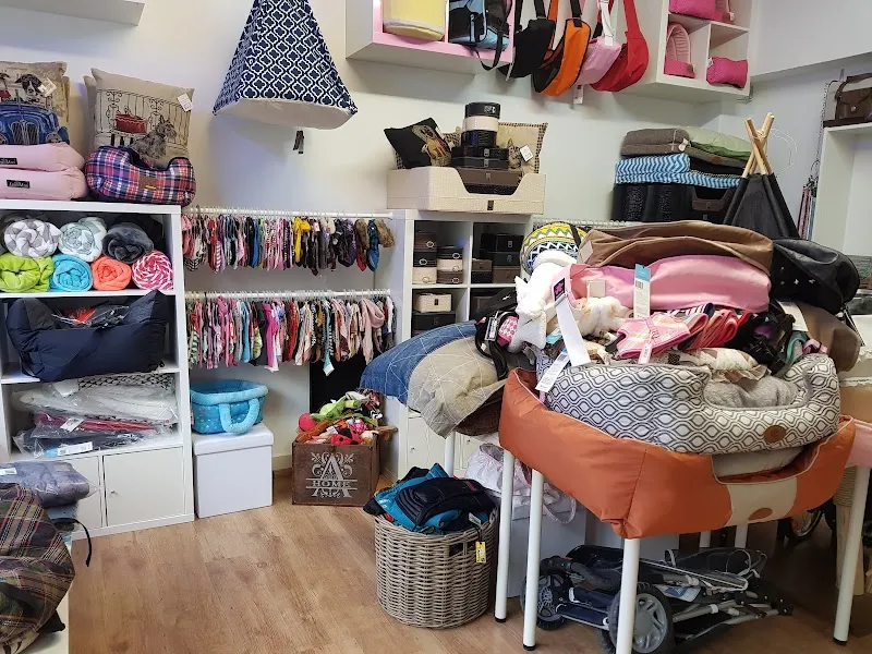 Hunde & Katzen Salon Chipsy J. Pistyur — Pension pour chats, Zürich, Zurich. Foto 2