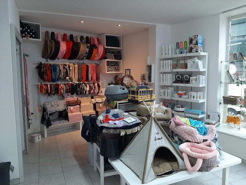 Hunde & Katzen Salon Chipsy J. Pistyur — Pension pour chats, Zürich, Zurich. Foto 3