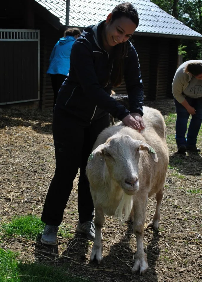 Frau Tierlieb - Tierbetreuung Basel — Katzenpension in Bettingen, Basel-Stadt. Bewertung 5.0/5.