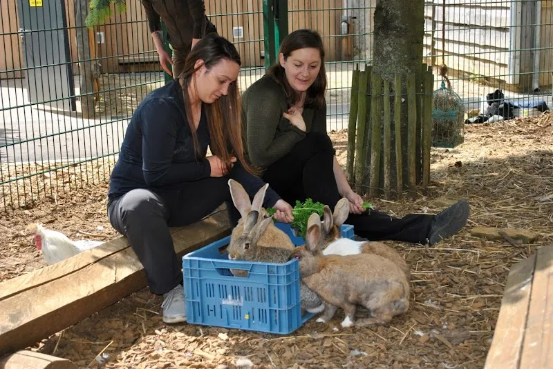Frau Tierlieb - Tierbetreuung Basel — Katzenpension, Bettingen, Basel-Stadt. Foto 3