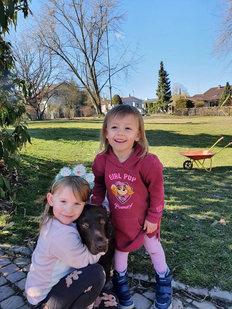 Happy Fairytail - Tierfreunde Netzwerk — Katzenpension in Rütihof, Aargau. Bewertung 5.0/5.