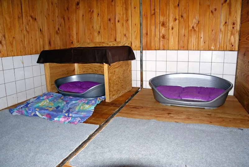 Hundeoase Felsbach — Katzenpension in Stäfa, Zürich. Bewertung 5.0/5.