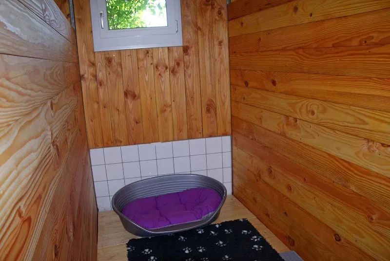 Hundeoase Felsbach — Pension pour chats, Stäfa, Zurich. Foto 3