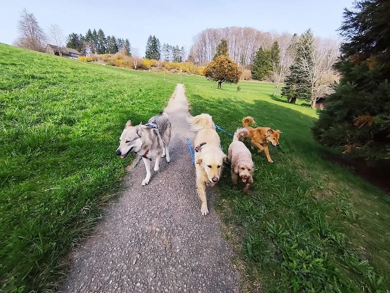 Hundewelt-Zuerichsee (Ihr prof. Dogsitter) — Katzenpension, Herrliberg, Zürich. Foto 2