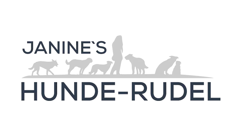 Janine’s Hunde-Rudel — Katzenpension, Uster, Zürich. Foto 2