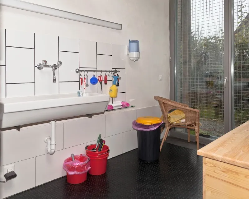 Katzen-Ferienhotel — Pensione per gatti, Oberneunforn, Turgovia. Foto 3