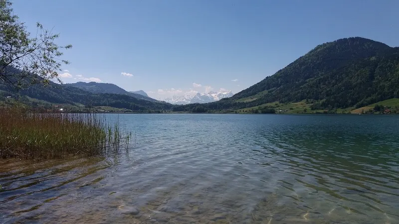 Katzenbetreuung Ägerital — Katzenpension in Morgarten, Zug. Bewertung 5.0/5.