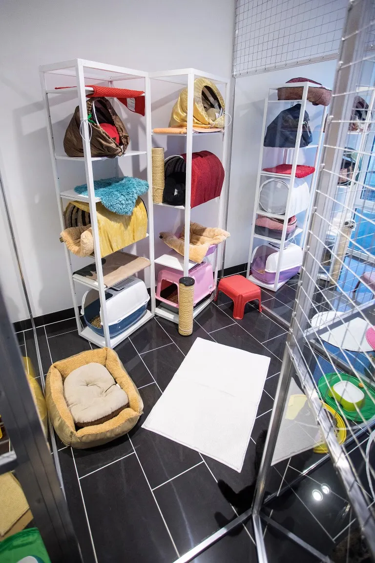 Katzenhotel Ermitage Küsnacht — Katzenpension in Küsnacht, Zürich. Bewertung 4.7/5.