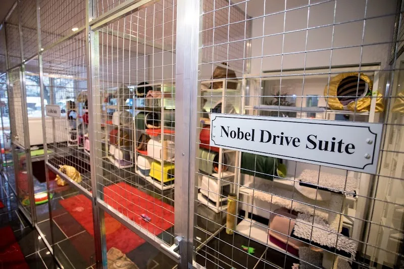 Katzenhotel Ermitage Küsnacht — Katzenpension, Küsnacht, Zürich. Foto 2