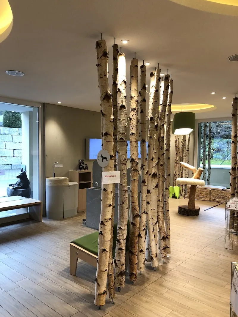 Katzenhotel Marigin — Pension pour chats, Feusisberg, Schwyz. Foto 2