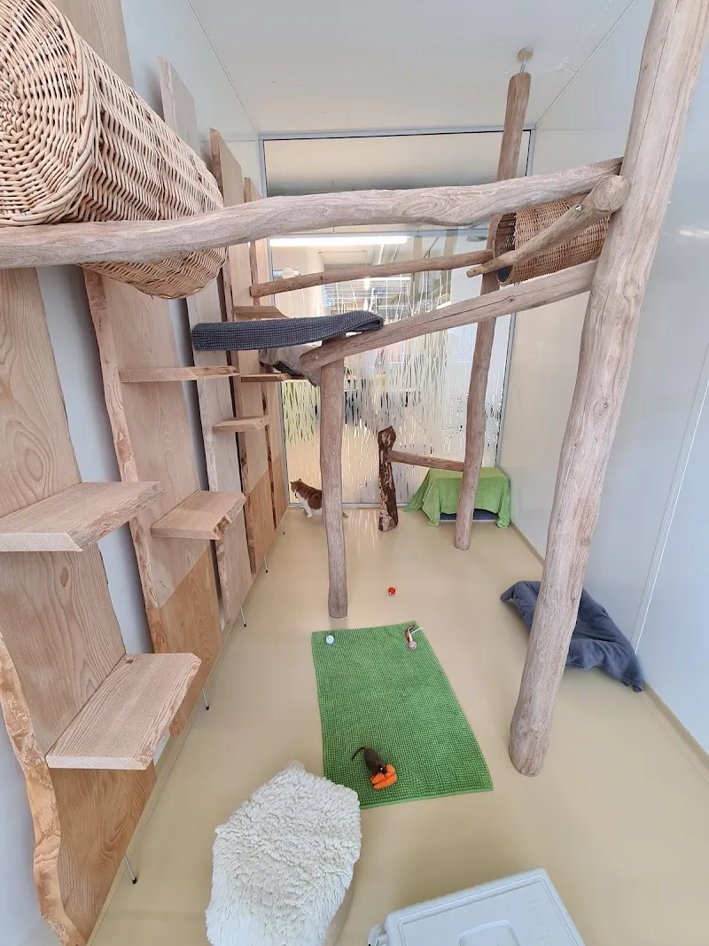 Katzenhotel Marigin — Pension pour chats, Feusisberg, Schwyz. Foto 3