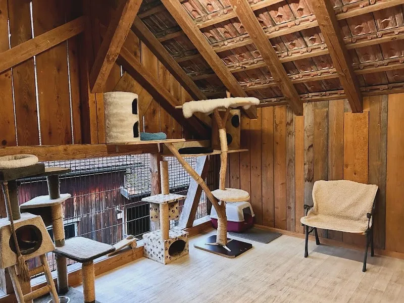 Katzenhotel Neerach — Katzenpension in Neerach, Zürich. Bewertung 5.0/5.