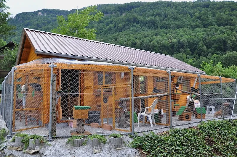 Katzenpension Apollo — Katzenpension in Arth, Schwyz. Bewertung 4.5/5.