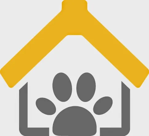 Katzenpension Rosinlihof — Pensione per gatti, Ehrendingen, Argovia. Foto 2