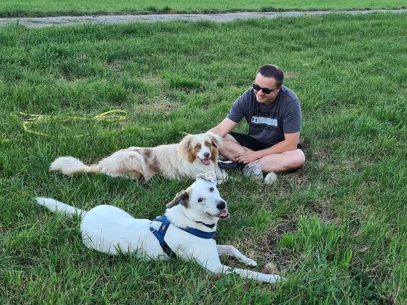 Lenz Tierpsychologie — Katzenpension, Affoltern am Albis, Zürich. Foto 2