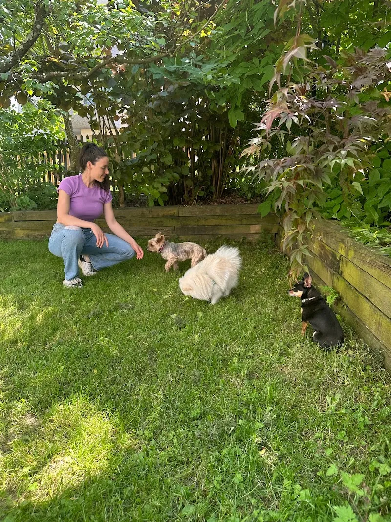 LuxForDogs GmbH — Katzenpension in Kilchberg, Zürich. Bewertung 5.0/5.