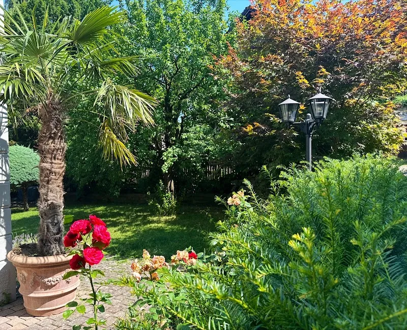 LuxForDogs GmbH — Katzenpension, Kilchberg, Zürich. Foto 3