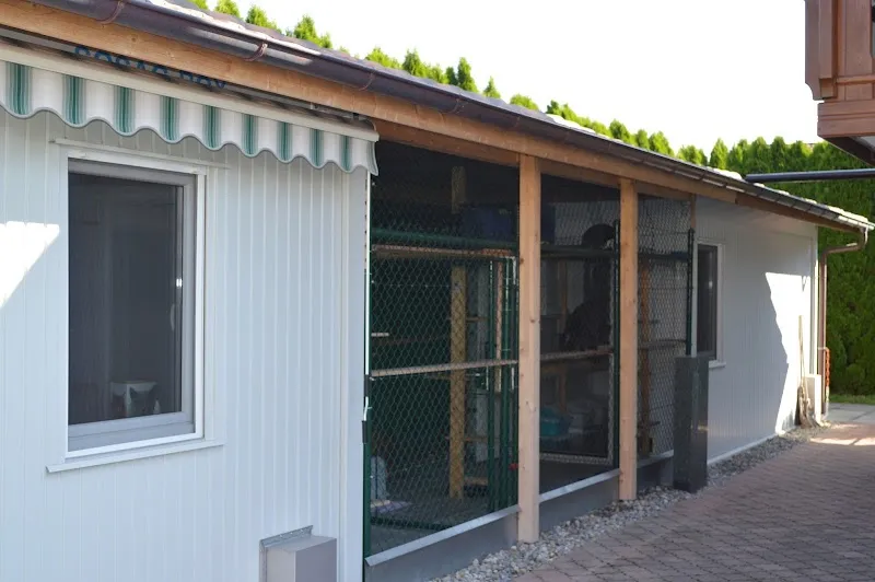 Merlin's Ferieninsel — Katzenpension in Würenlos, Aargau. Bewertung 4.6/5.